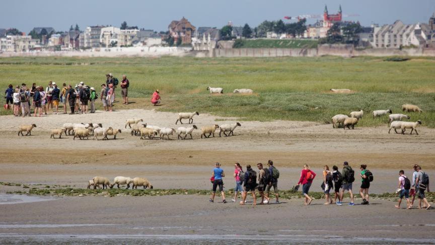 Les Arts - Cocon Romantique En Baie De Somme Boismont  Zewnętrze zdjęcie